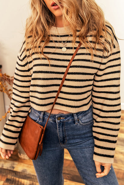 Stripe Knit Crewneck Cropped Sweater