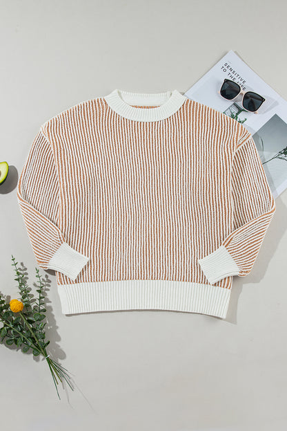 Stripe Contrast Trim Sweater