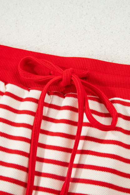 Stripe Collared V-Neck Pullover and Skort Set