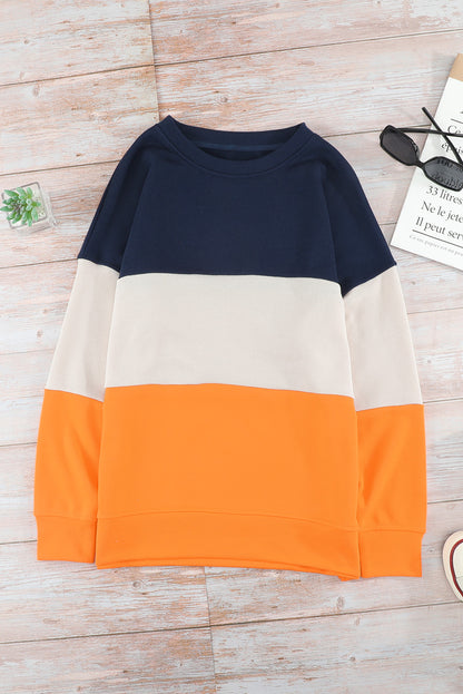 Colorblock Drop Shoulder Sweatshirt