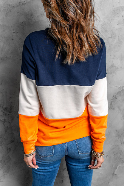 Colorblock Drop Shoulder Sweatshirt