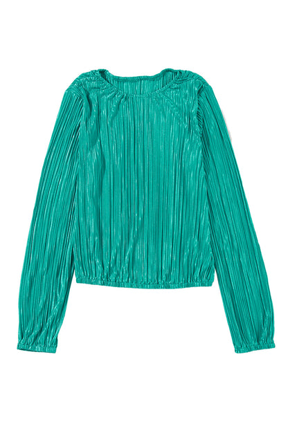 Pleated Long Sleeve Top