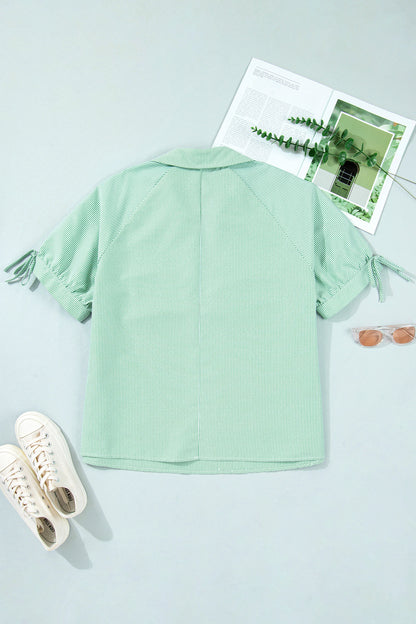 Plus Size Stripe Collar V-Neck Short Sleeve Blouse