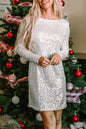 Sequin Long Sleeve Mini Dress