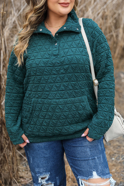 Quarter Buttoned Quilted Sweatshirt Plus Size