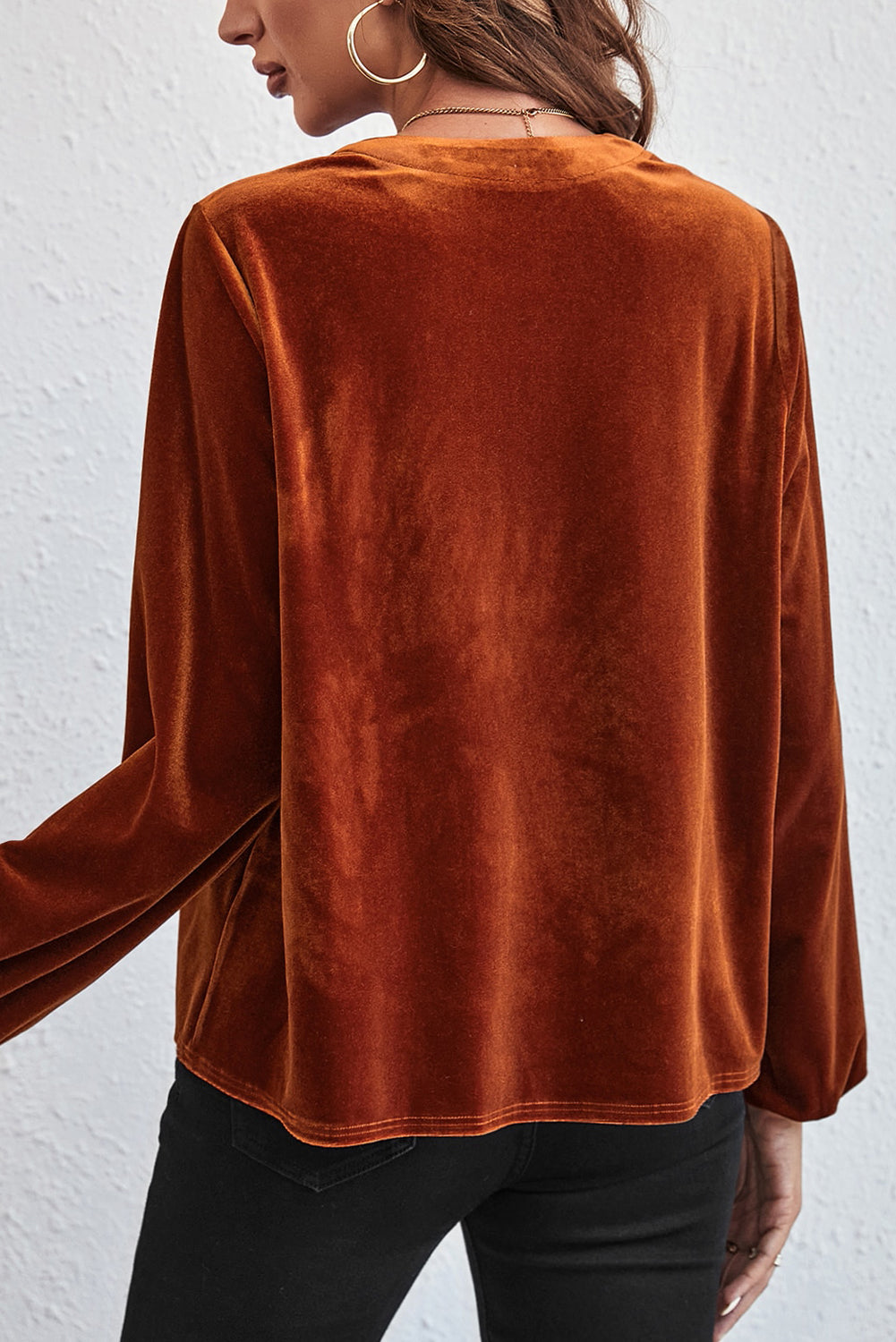 Velvet Lantern Sleeve V-Neck Top