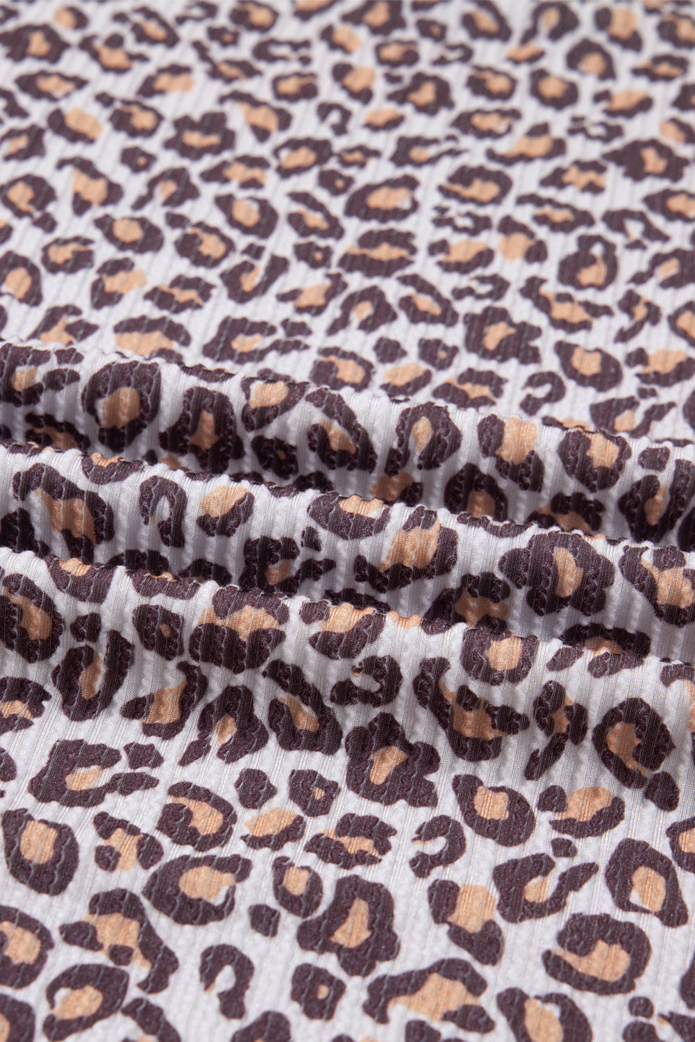 Leopard Ribbed Long Sleeve Top and Shorts Set