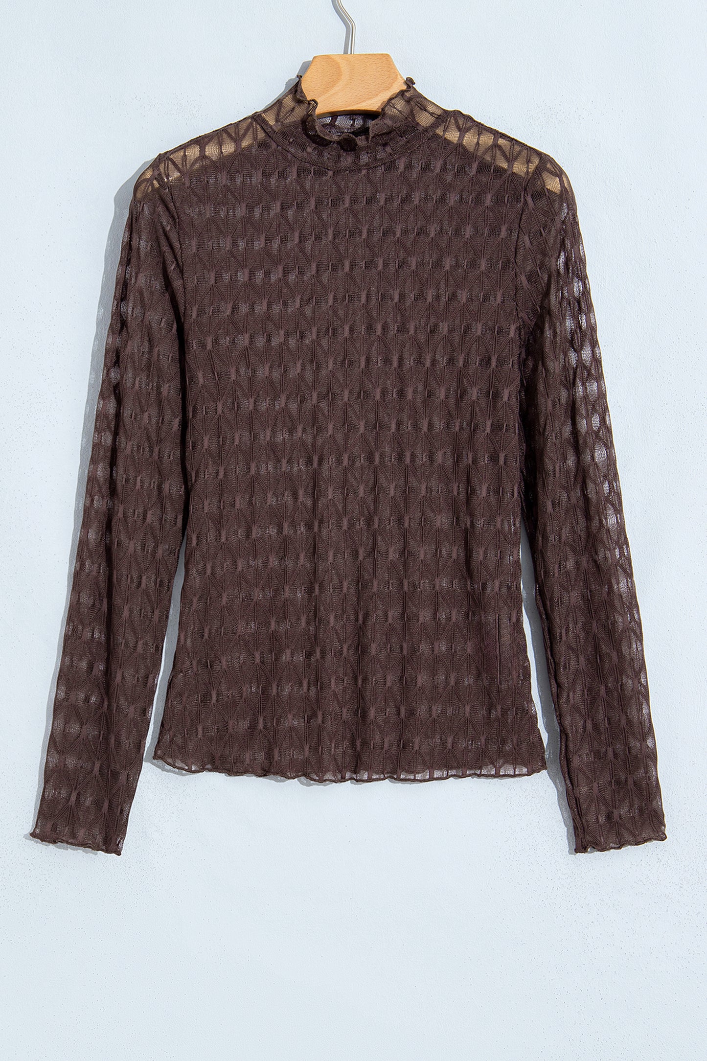 Solid Sheer Textured Lace Mock Neck Long Sleeve Top