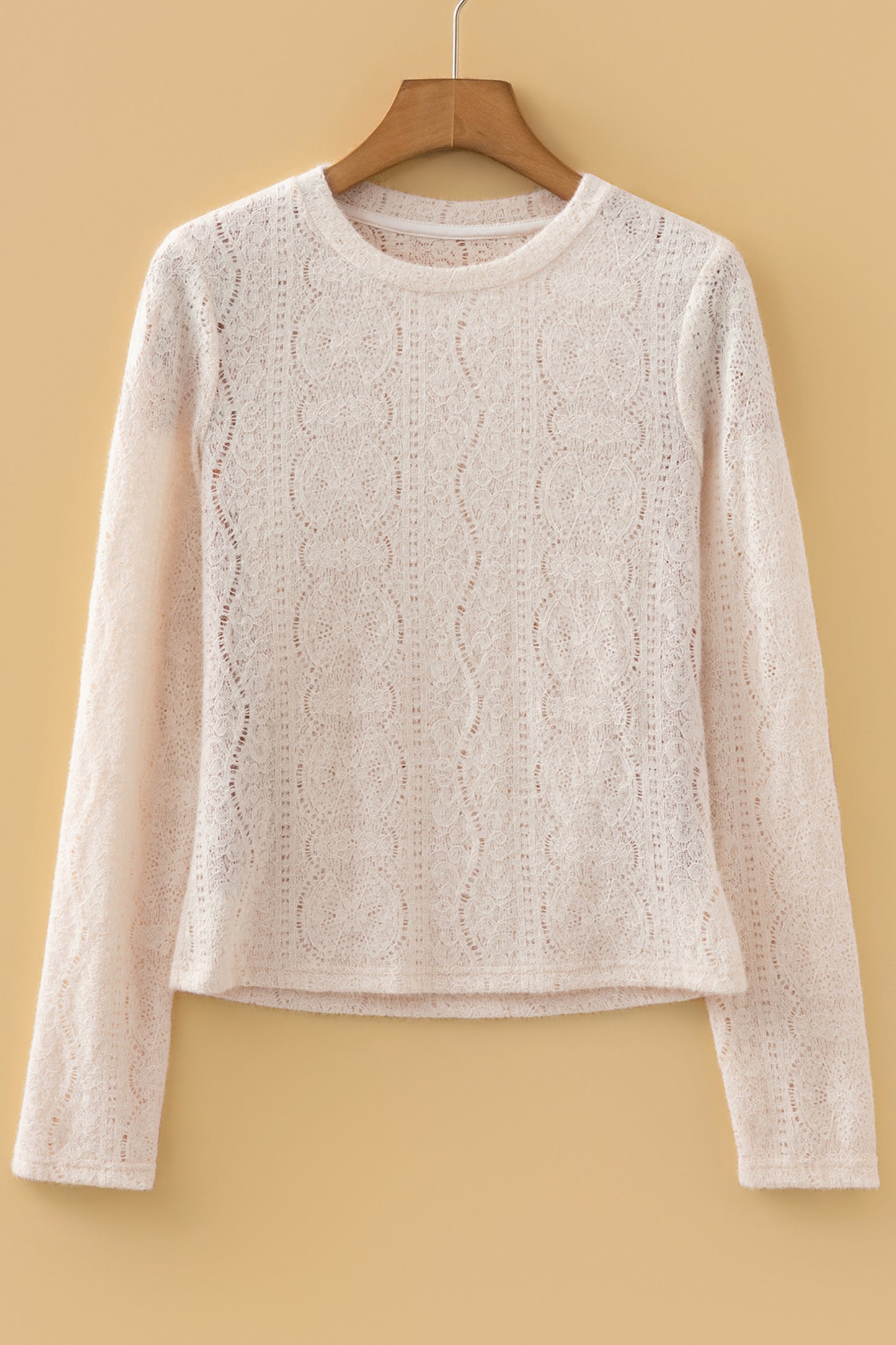 Lace Semi Sheer Long Sleeve Cropped Top