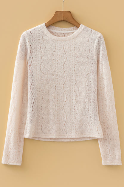 Lace Semi Sheer Long Sleeve Cropped Top