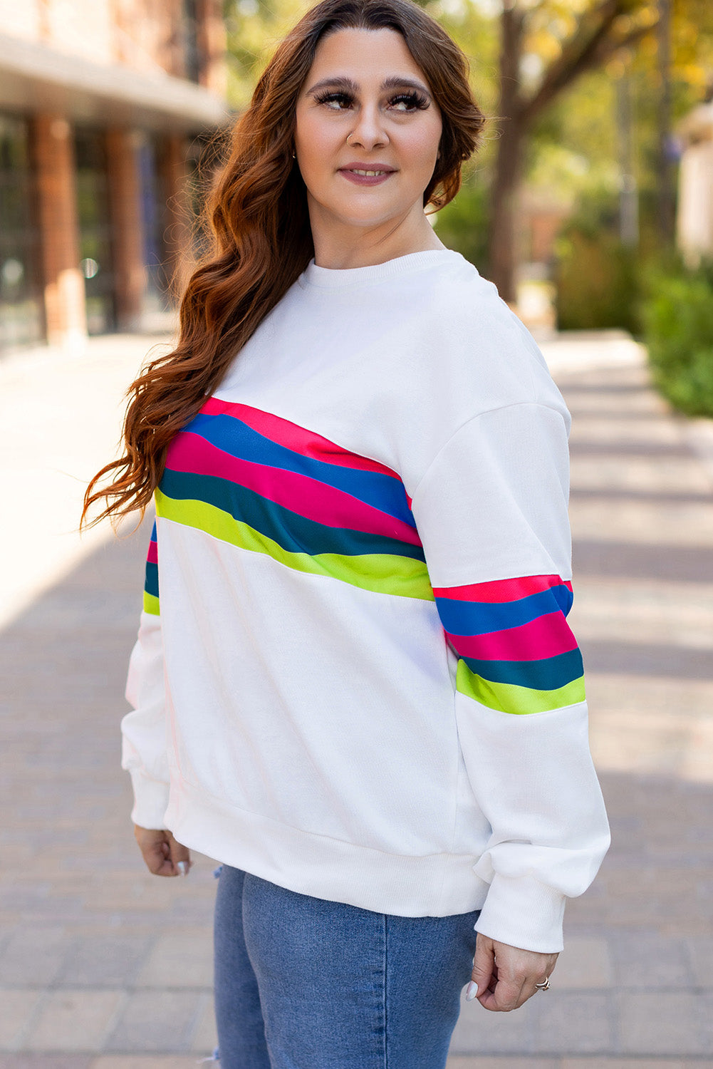 Plus Size Stripe Colorblock Drop Shoulder Sweatshirt