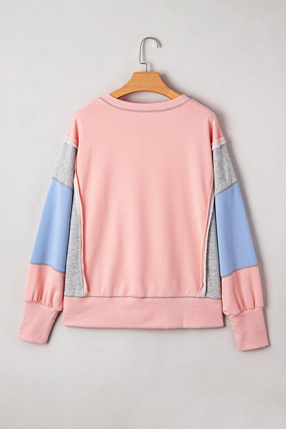 Colorblock Patchwork Reverse Seam Sweatshirt