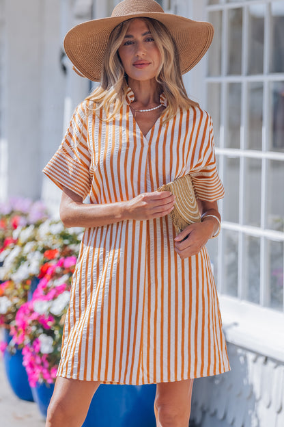 Stripe Pleated Frilled V-Neck Mini Dress