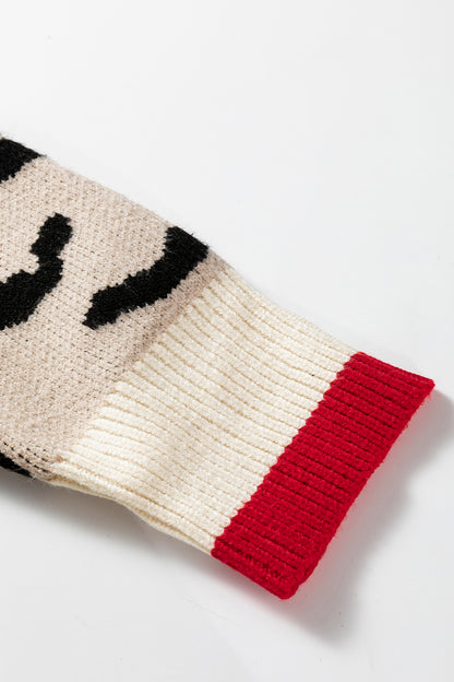 Leopard Contrast Stripe Ribbed Knit V-Neck Sweater