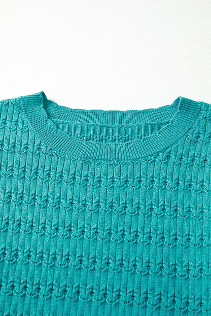 Solid Knit Ribbed Cuff Crewneck Sweater