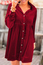 Velvet Long Sleeve Shirt Dress