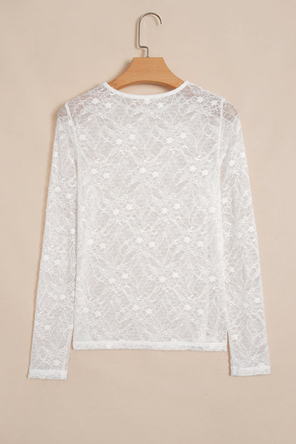 Sheer Lace Mesh Crew Neck Long Sleeve Top