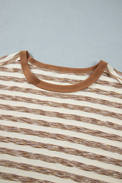 Stripe Colorblock Trim Textured Knit Long Sleeve Top