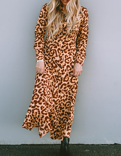 Leopard Long Sleeve Maxi Dress