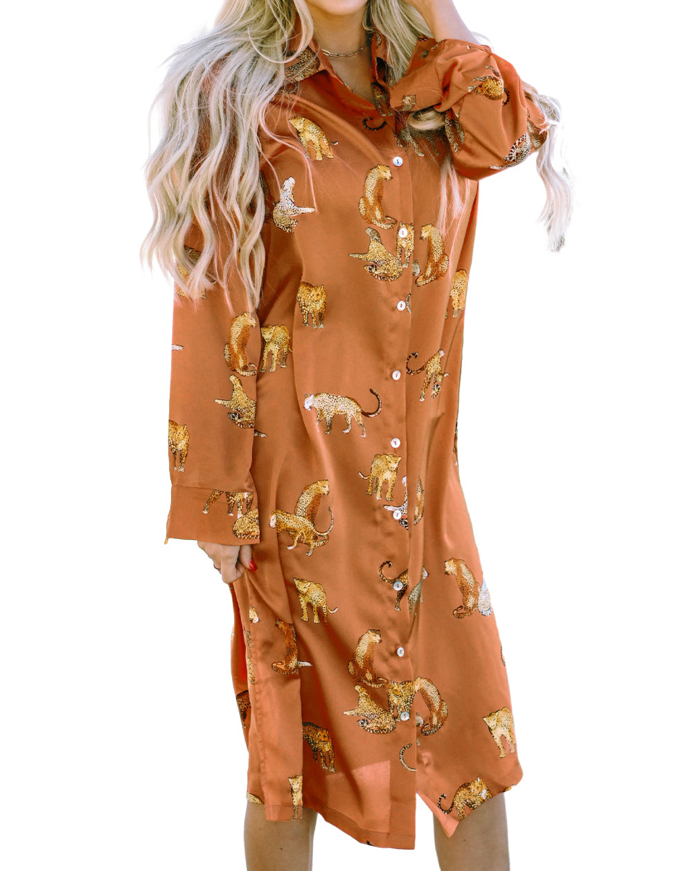 Cheetah Buttoned Midi Shirt Dress