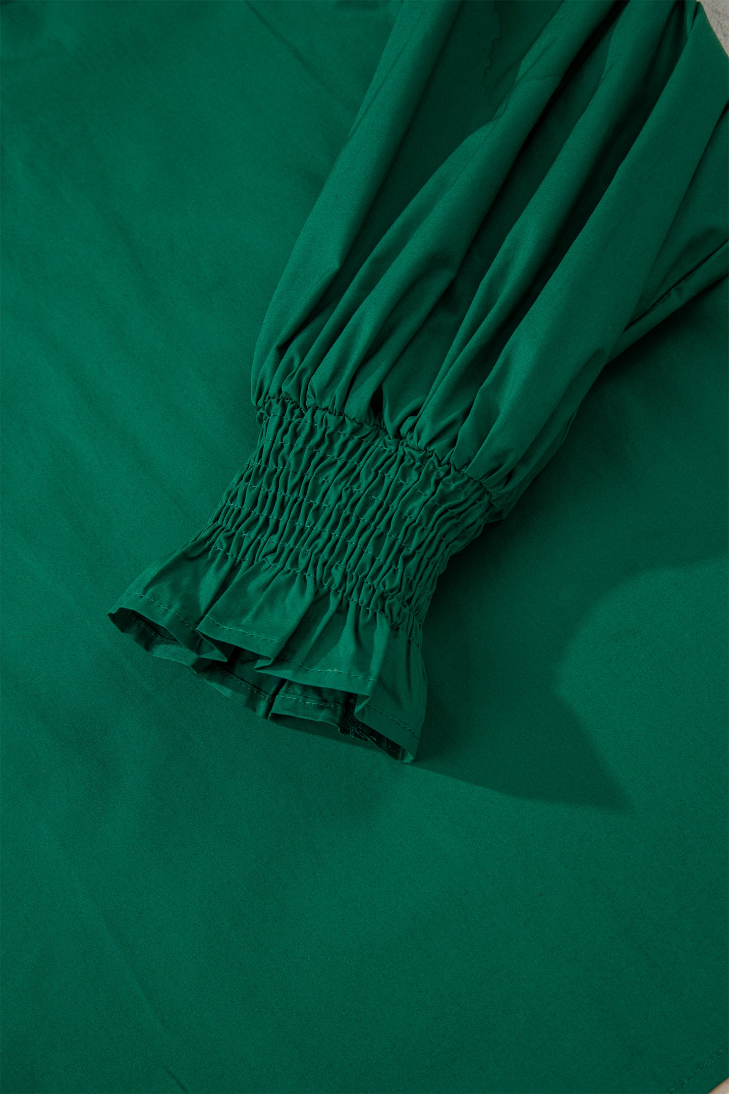 Leopard Trim V-Neck Puffy Flounce Sleeve Blouse