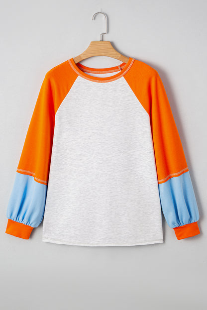 Colorblock Contrast Stitch Raglan Sleeve Top