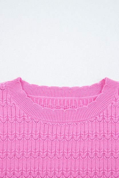 Solid Knit Ribbed Cuff Crewneck Sweater