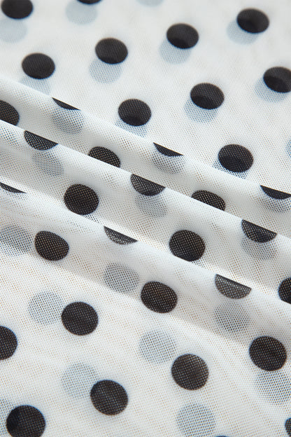 Polka Dot Sheer Mesh Long Sleeve Shift Top
