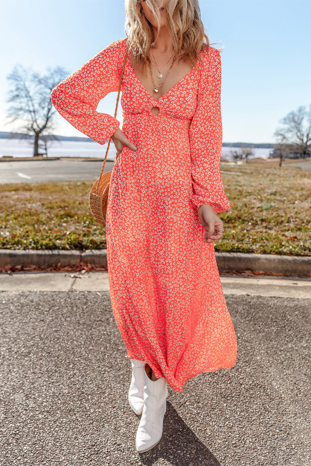 Floral Puff Sleeve V-Neck Dress