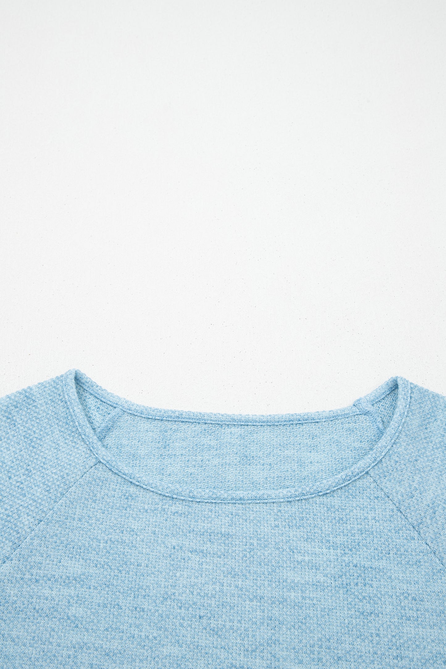 Solid Textured Knit Raglan Long Sleeve Top