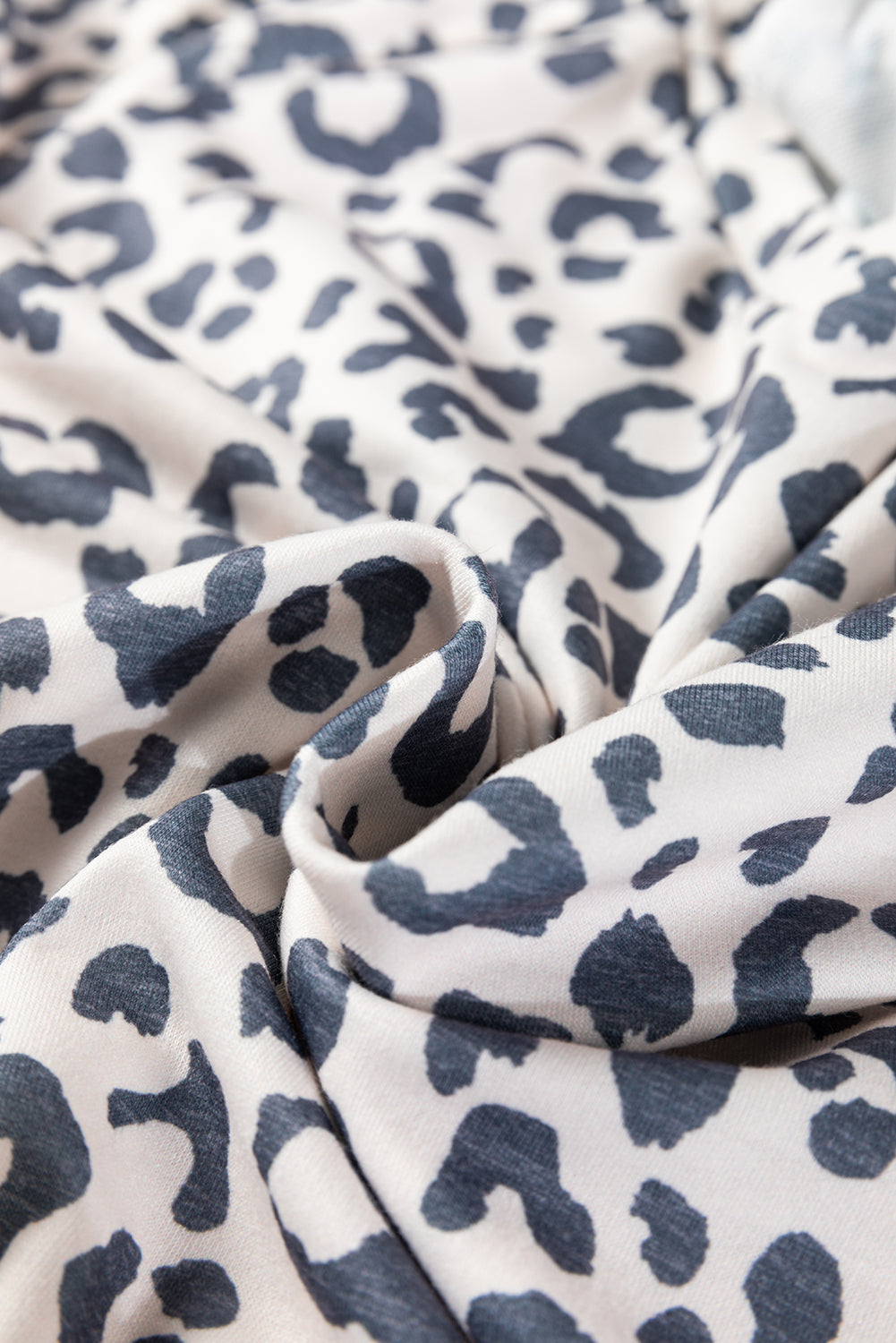 Leopard Long Sleeve V-Neck Top and Pant Set