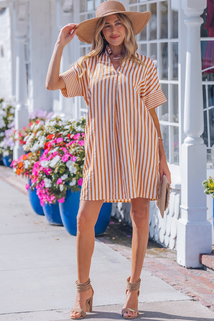 Stripe Pleated Frilled V-Neck Mini Dress