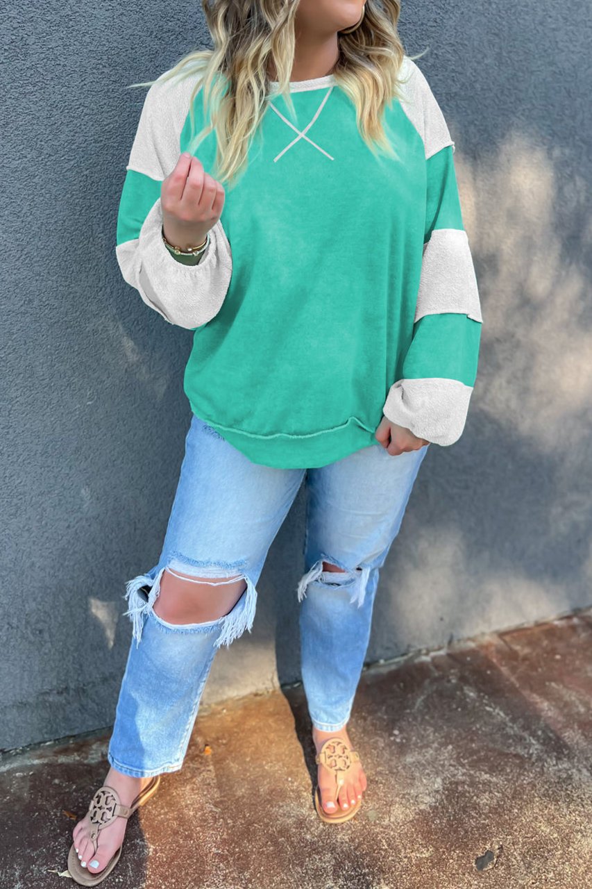 Colorblock Cross Seam Sweatshirt Plus Size