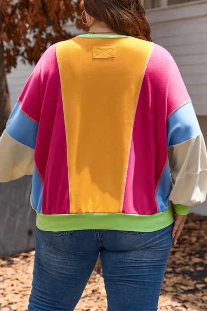 Colorblock Reverse Seam Sweatshirt Plus Size