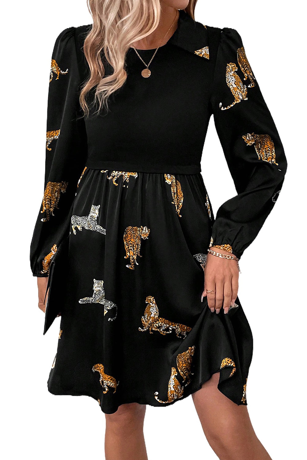 Leopard Colorblock Long Sleeve Dress