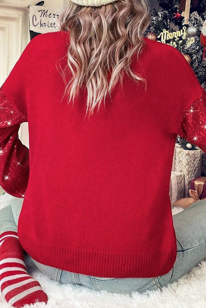 Merry Sequin Sleeve Turtleneck Sweater