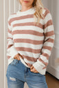 Stripe Ribbed Trim Crewneck Sweater