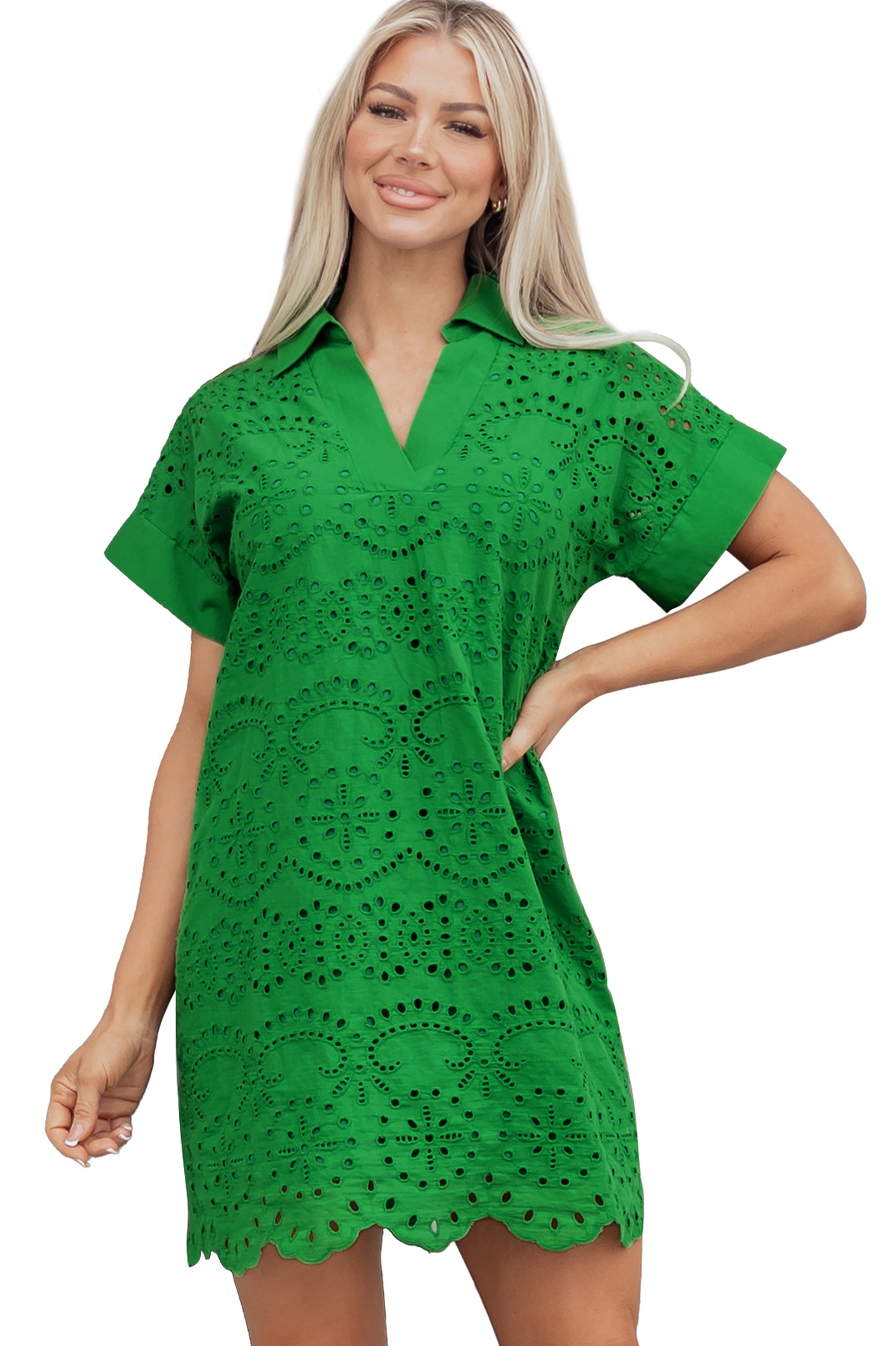 Solid Embroidered Eyelet Collared V-Neck Mini Dress