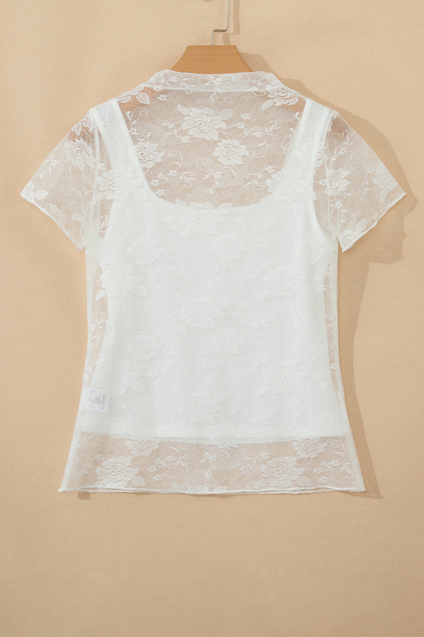 Sheer Lace Mesh Round Neck T-Shirt