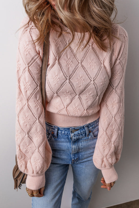 Pointelle Knit Puff Sleeve Sweater