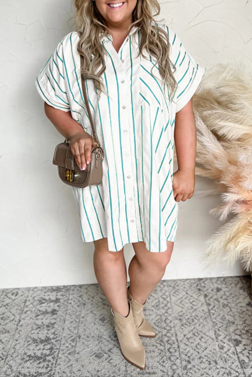 Plus Size Stripe Short Sleeve Dress