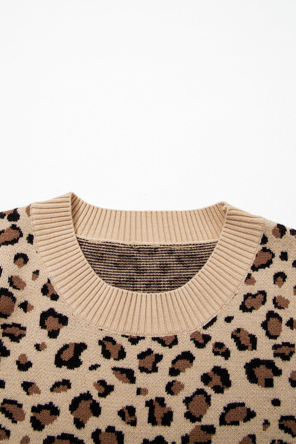 Leopard Contrast Trim Dolman Sleeve Sweater