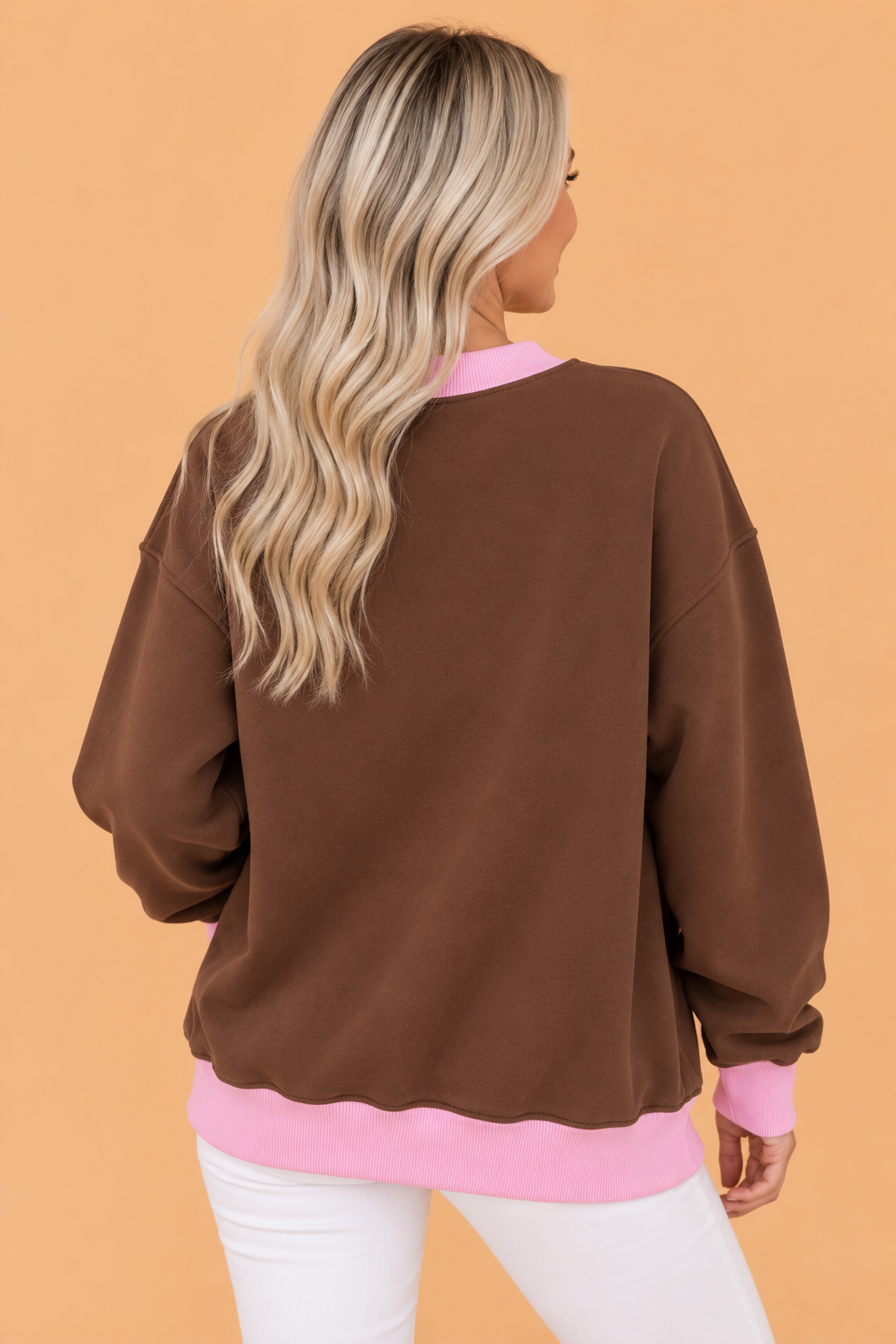 Colorblock Trim Crewneck Long Sleeve Sweatshirt
