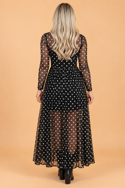 Polka Dot Mesh Mock Neck Long Sleeve Maxi Dress