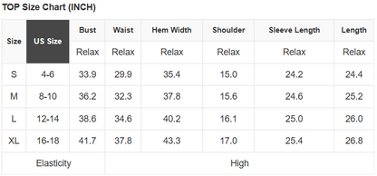 Leopard Sheer Mesh Long Sleeve Top