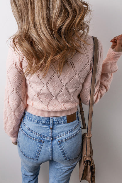 Pointelle Knit Puff Sleeve Sweater