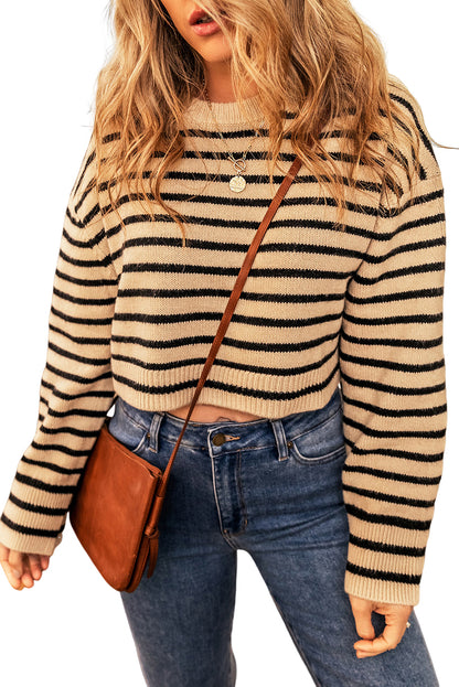 Stripe Knit Crewneck Cropped Sweater