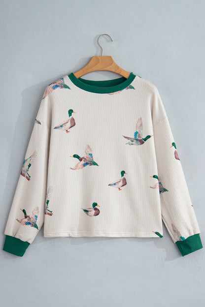 Plus Size Mallard Corded Knit Long Sleeve Top