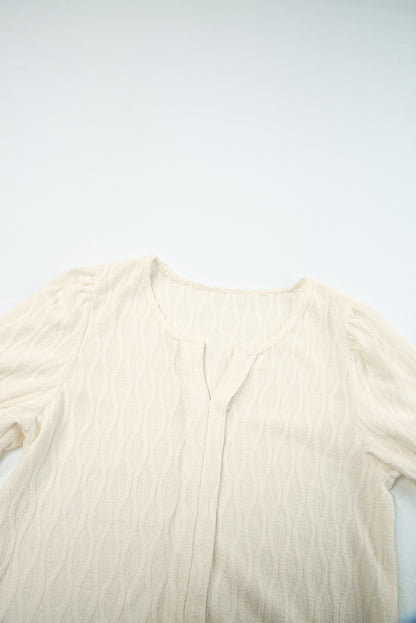 Solid Textured Notched Neck Puff Sleeve Blouse