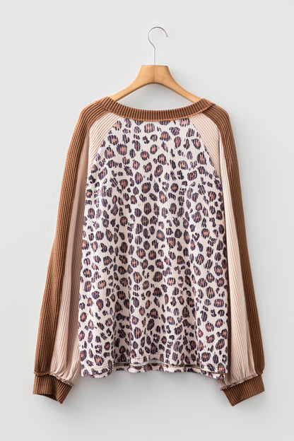 Plus Size Leopard Colorblock Ribbed V-Neck Pullover